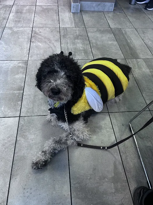 Westchester Animal Hospital Picture 10