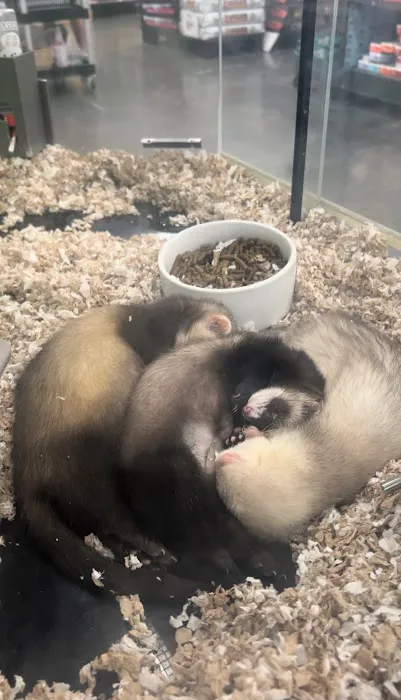 Petco Picture 4
