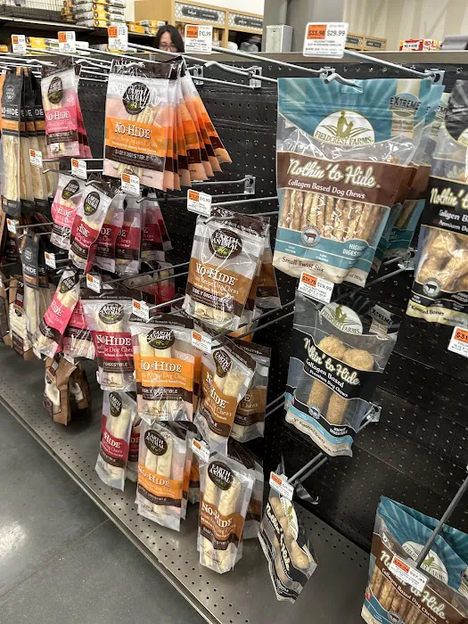 Petco Picture 2