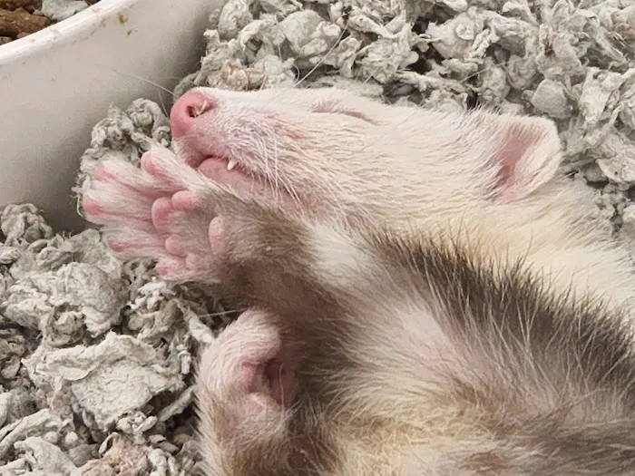 Petco Picture 9