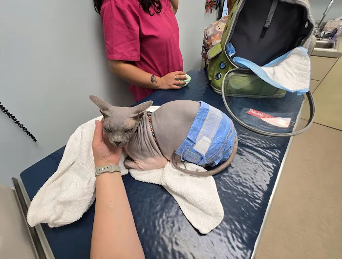 Englewood Cliffs Veterinary, PA Picture 7