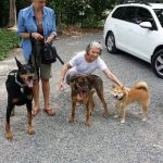 Englewood Cliffs Veterinary, PA