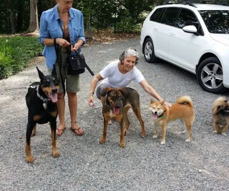 Englewood Cliffs Veterinary, PA