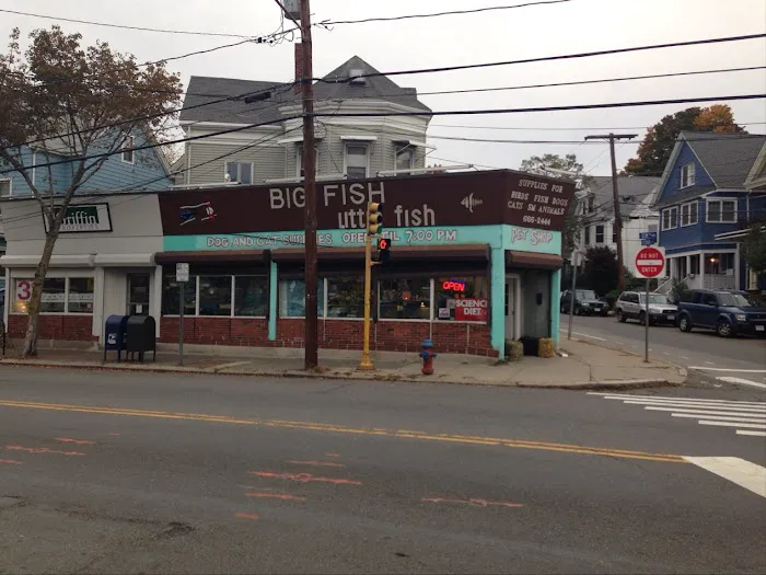 Big Fish Little Fish Pet Store Picture 1