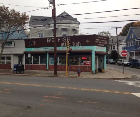 Big Fish Little Fish Pet Store