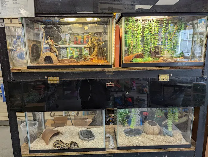 Big Fish Little Fish Pet Store Picture 3