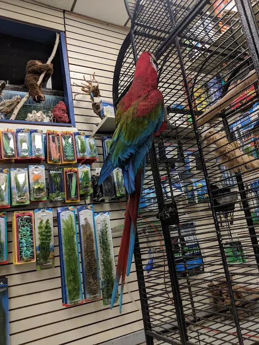 Big Fish Little Fish Pet Store Picture 8