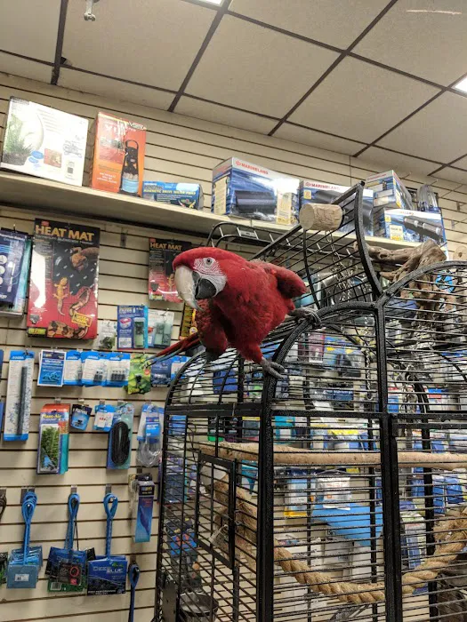 Big Fish Little Fish Pet Store Picture 7