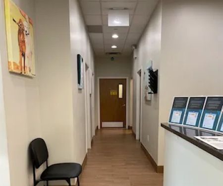 Carnegie Hill Veterinarians