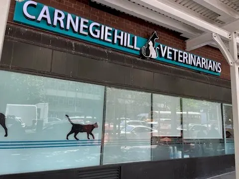 Carnegie Hill Veterinarians Picture 8