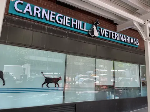 Carnegie Hill Veterinarians Picture 10