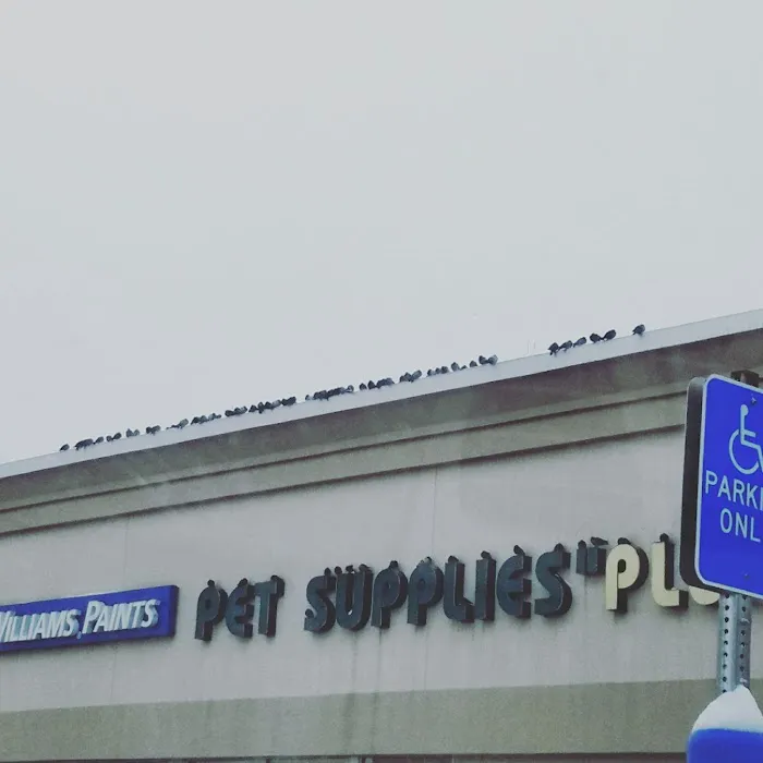 Pet Supplies Plus Medford Picture 9