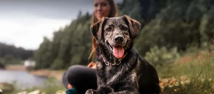 Best Pet Rx Picture 3
