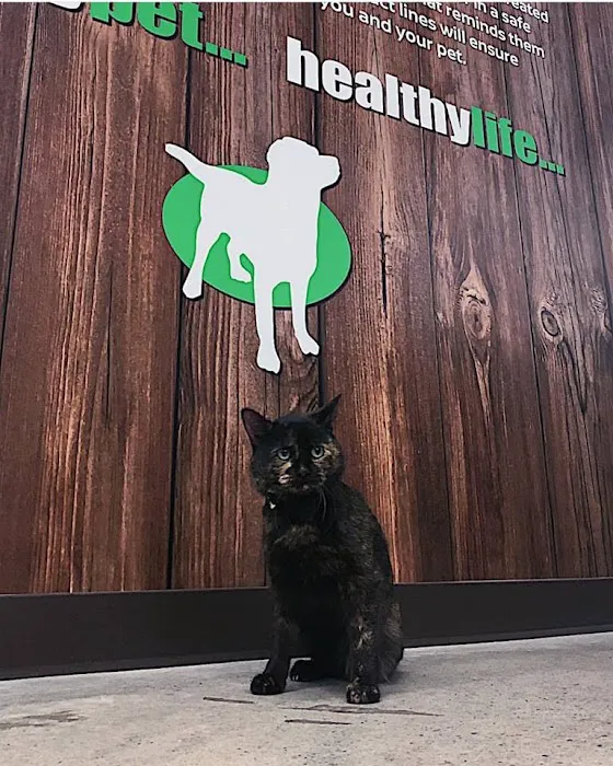 Healthy Pet Picture 6