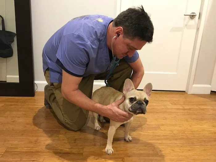 At Home Veterinary Services Picture 10