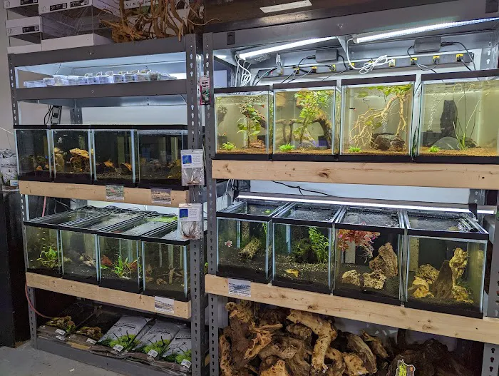 European Aquatics Inc. Picture 7
