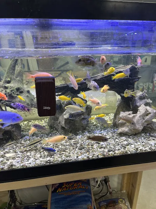 European Aquatics Inc. Picture 3