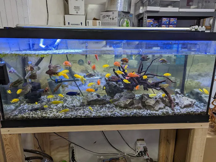 European Aquatics Inc. Picture 1