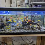 European Aquatics Inc.