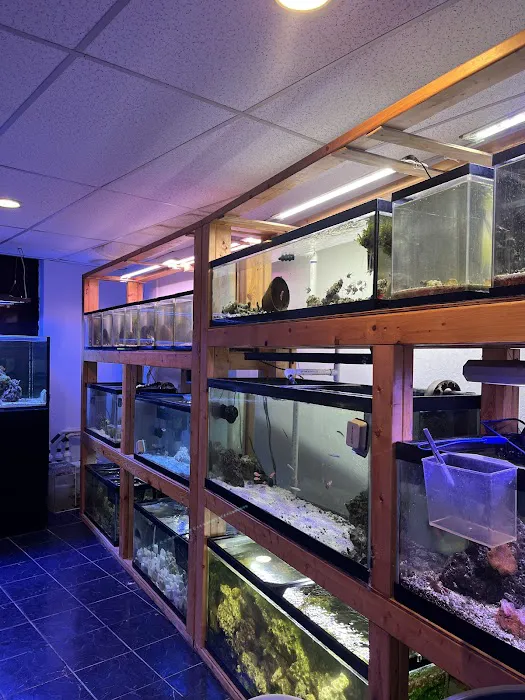 European Aquatics Inc. Picture 5