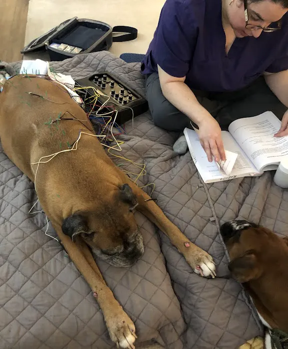 Tranquil Paws Veterinary Picture 5
