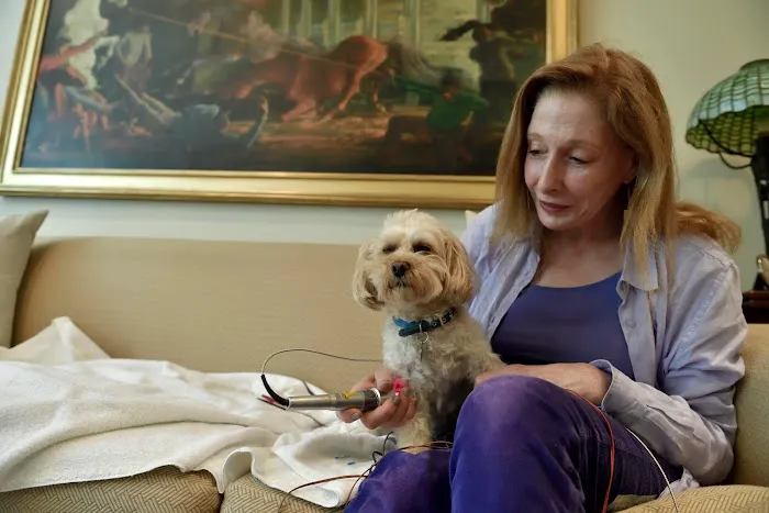 Dr. Babette Gladstein, VMD Picture 7