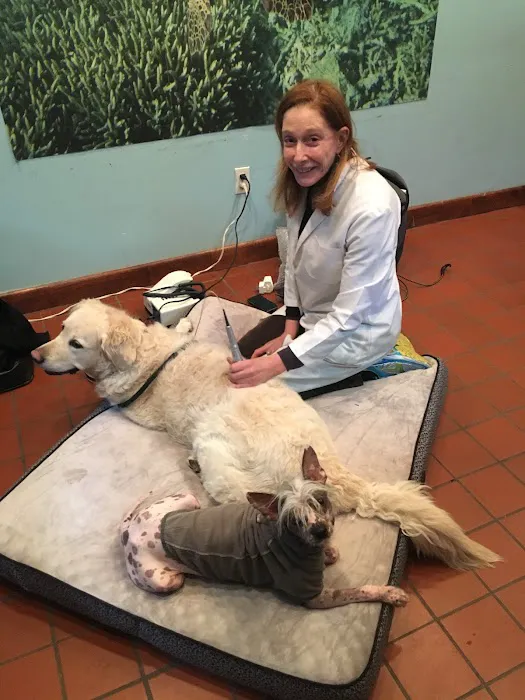 Dr. Babette Gladstein, VMD Picture 3