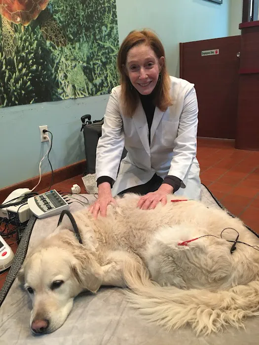 Dr. Babette Gladstein, VMD Picture 4