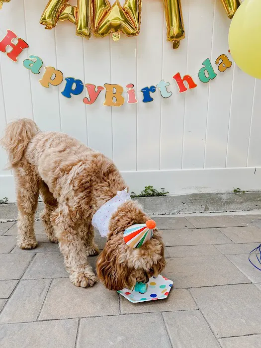 Dog Eat Cake Pet Bakery| E-Commerce Picture 4