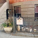 Dog Eat Cake Pet Bakery| E-Commerce