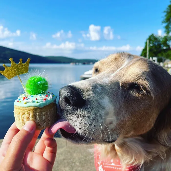 Dog Eat Cake Pet Bakery| E-Commerce Picture 6