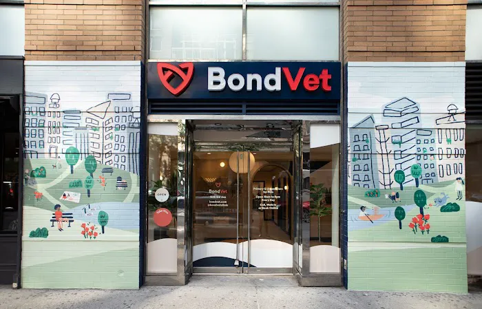Bond Vet - Upper East Side at 86th Street Picture 8