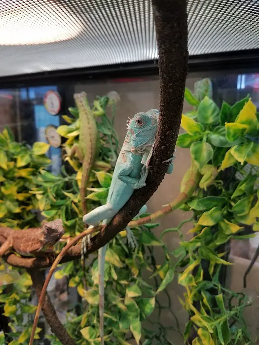 Petco Picture 2