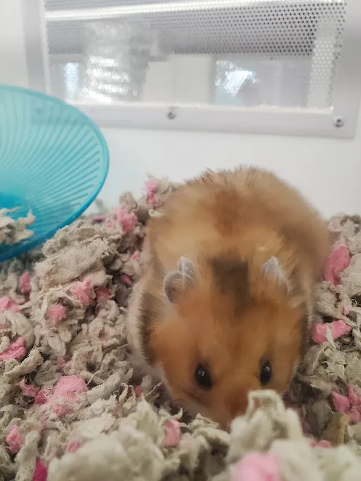 Petco Picture 8