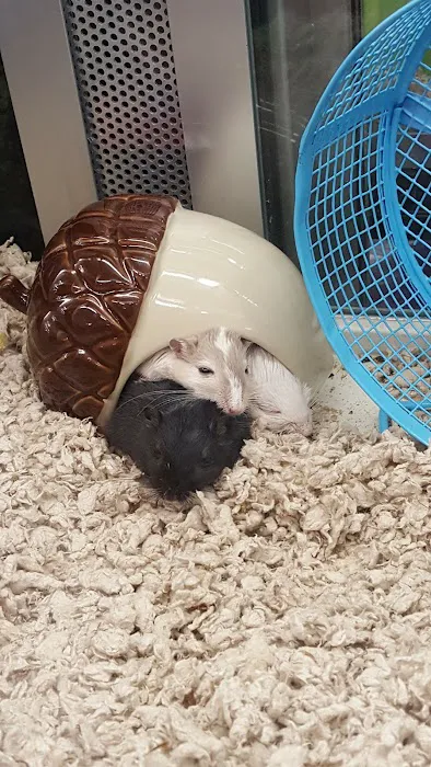 Petco Picture 4