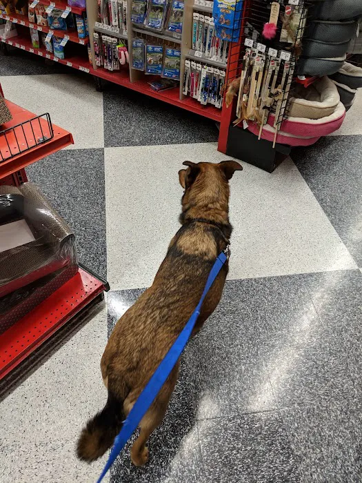 Petco Picture 5