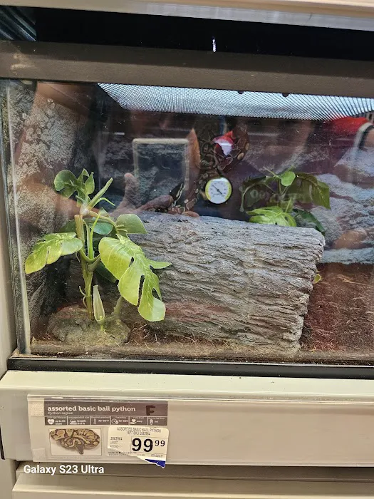 Petco Picture 10