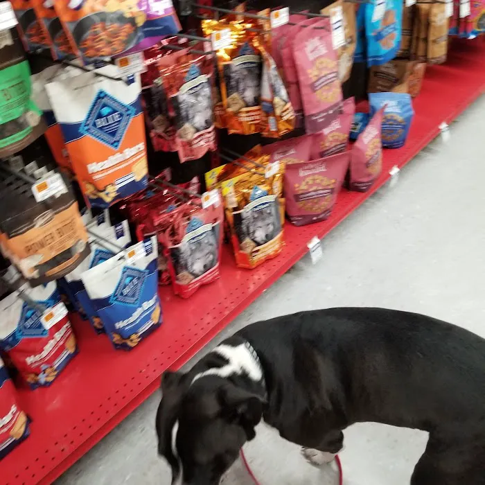 Petco Picture 8