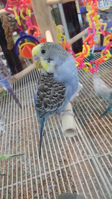 Petco Picture 10