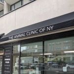 Animal Clinic of New York