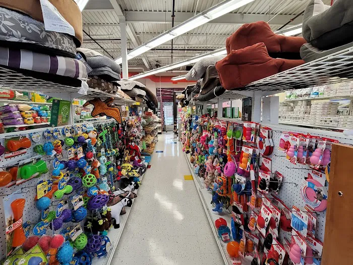 Baer's Pet Center Picture 5