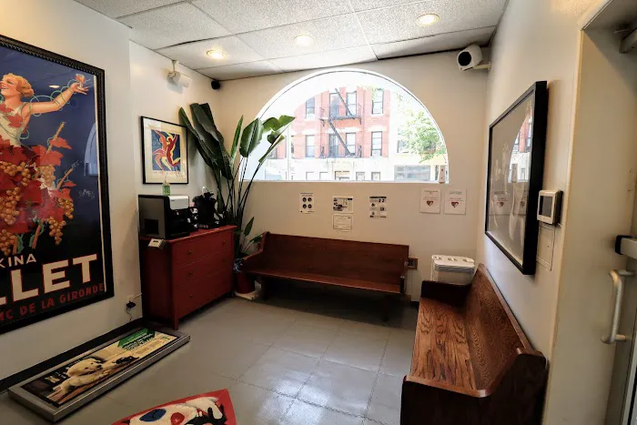 One Love Animal Hospital - Yorkville Picture 8