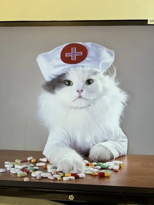 One Love Animal Hospital - Yorkville Picture 4