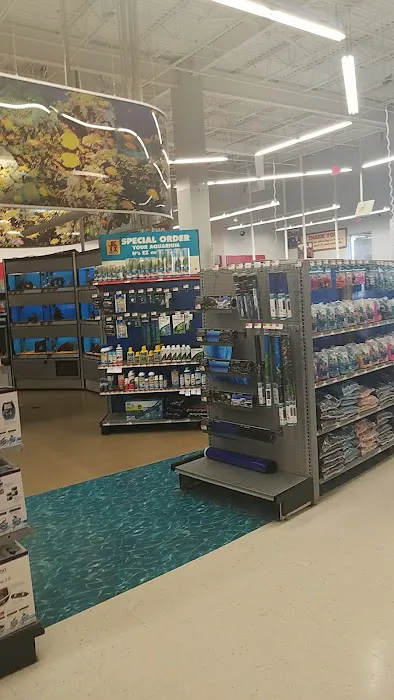 Petco Picture 7