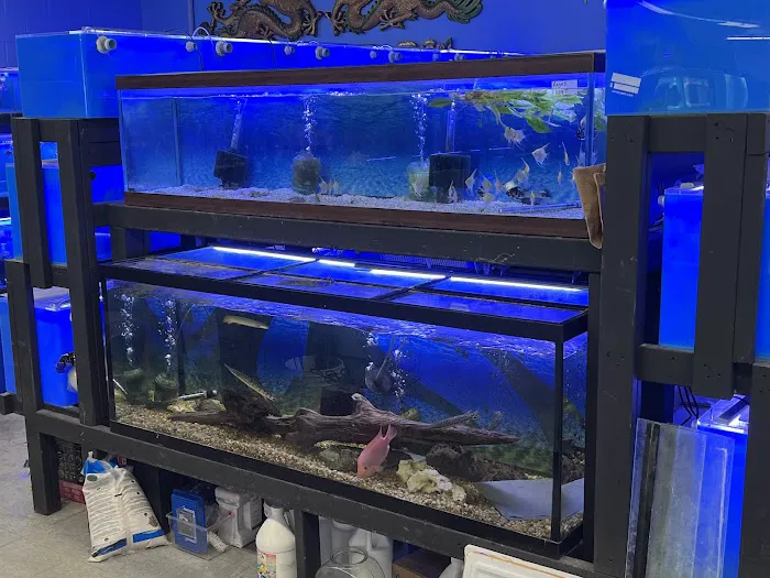 Lovely Pets Aquarium Picture 5
