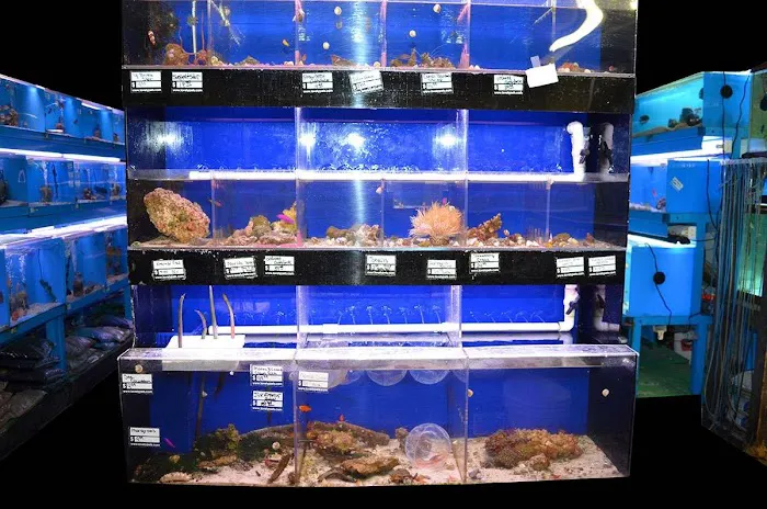 Lovely Pets Aquarium Picture 7