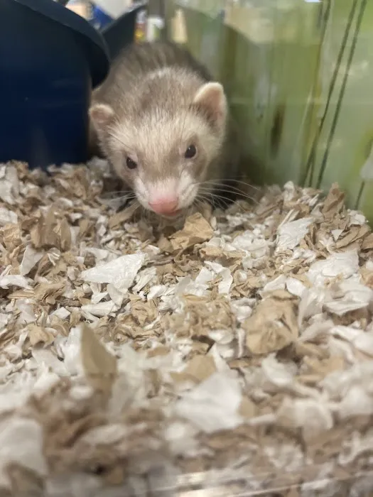 Petco Picture 7