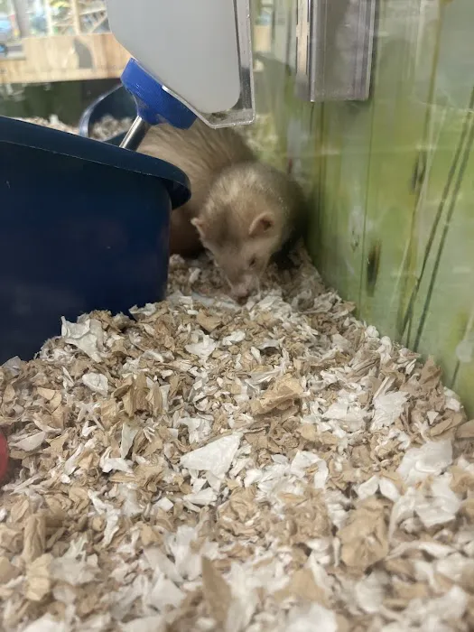 Petco Picture 10