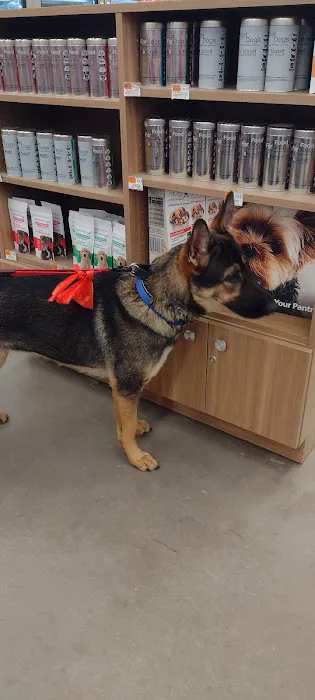 Petco Picture 2