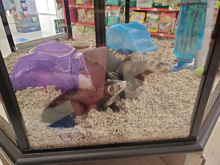 Petco Picture 9